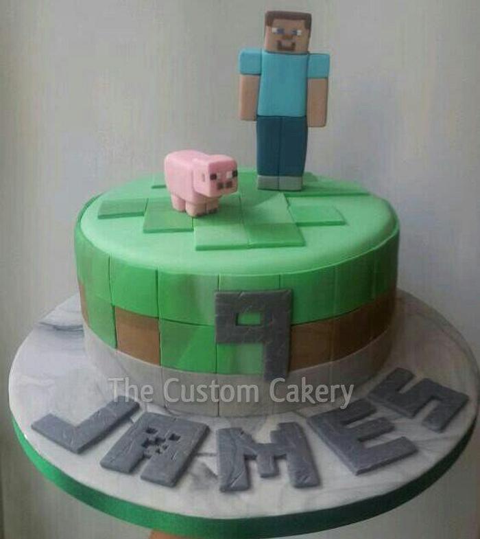 Another Minecraft cake!