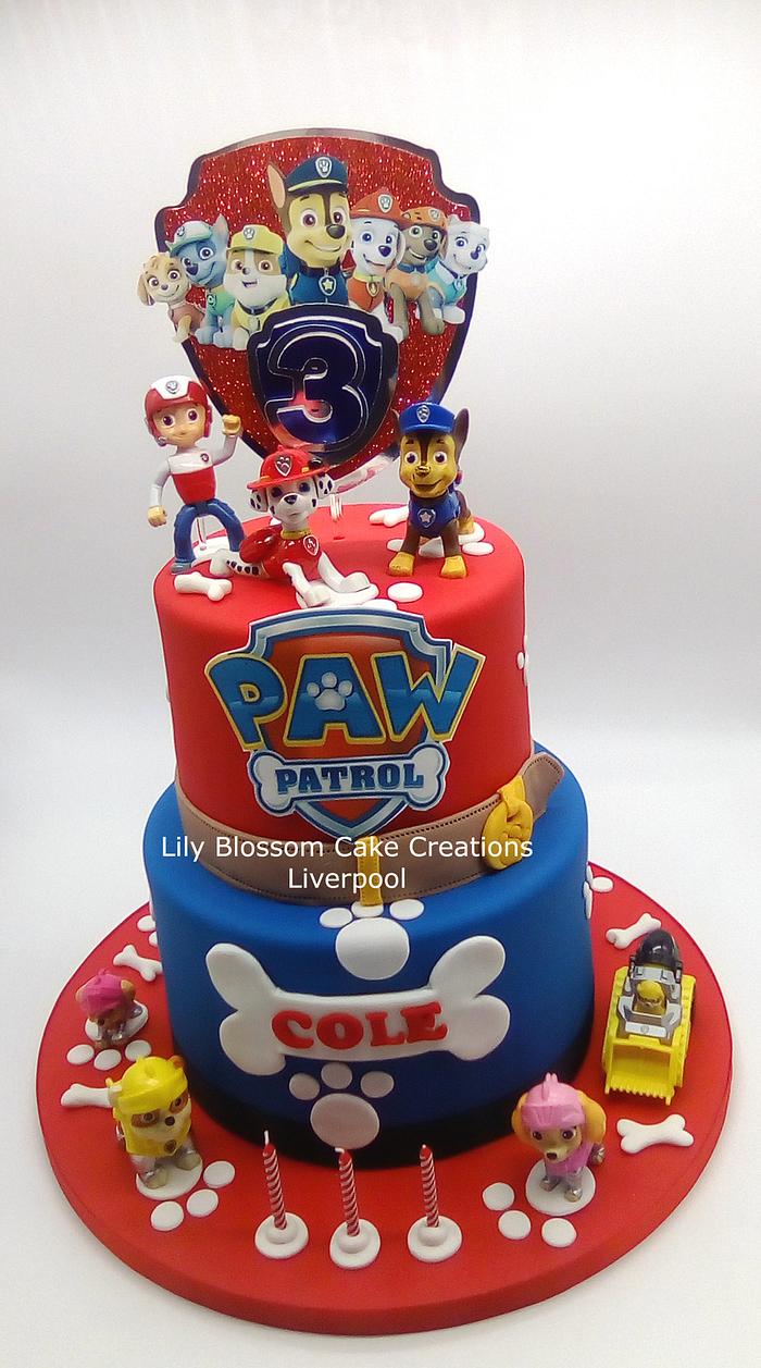 Paw Patrol 3rd Birthday Cake