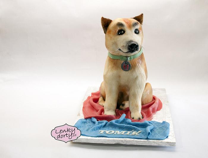 Dog cake Akita Inu