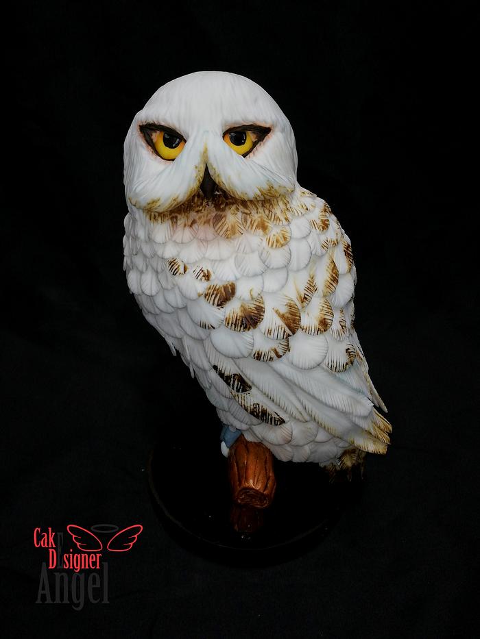 Hedwig of Harry Potter