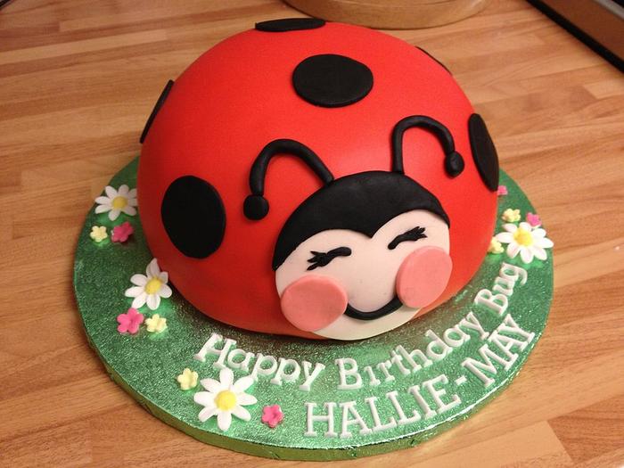 LadyBug Birthday Cake