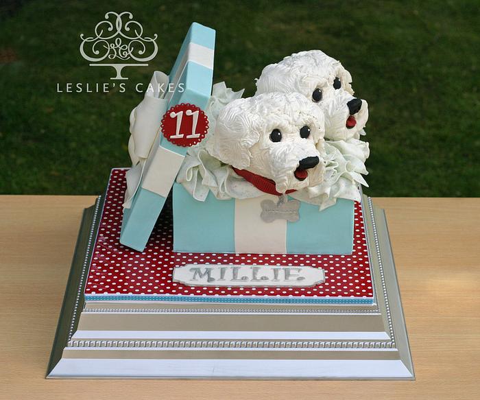 Sculpted Dogs Gift Box Cake
