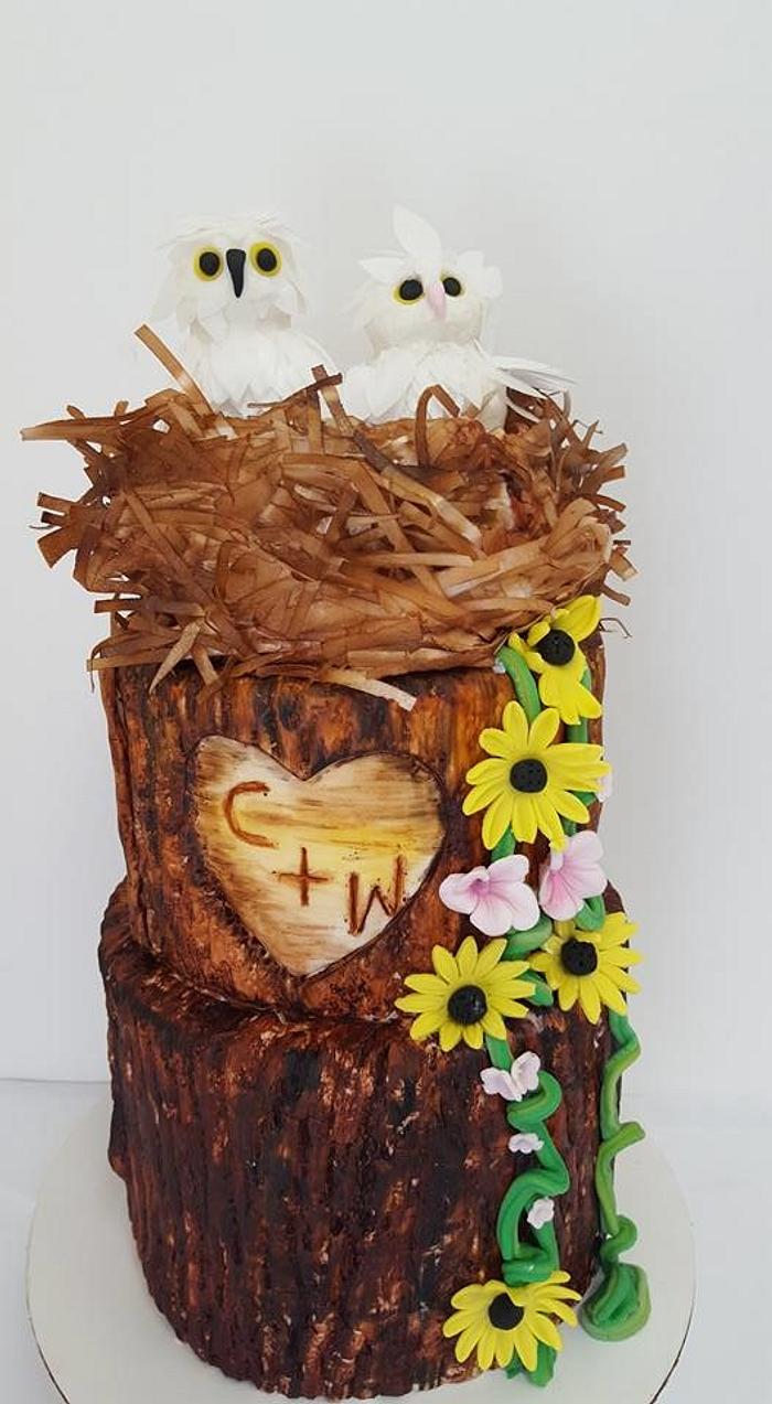Tree Bark Cake with Owl pair topper in Nest