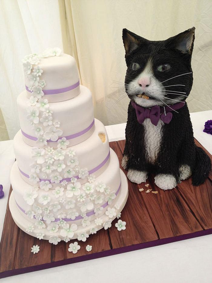 wedding cake and the Cat