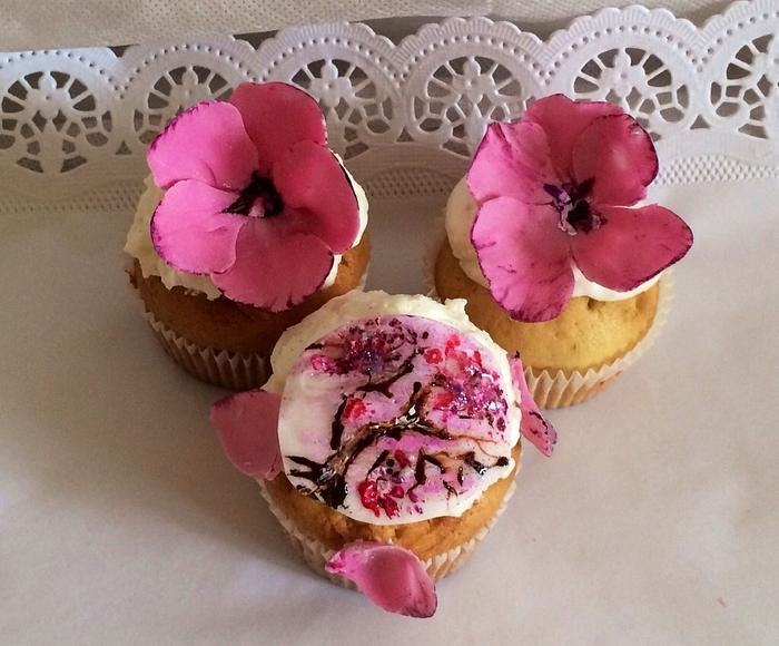 Spring cupcakes