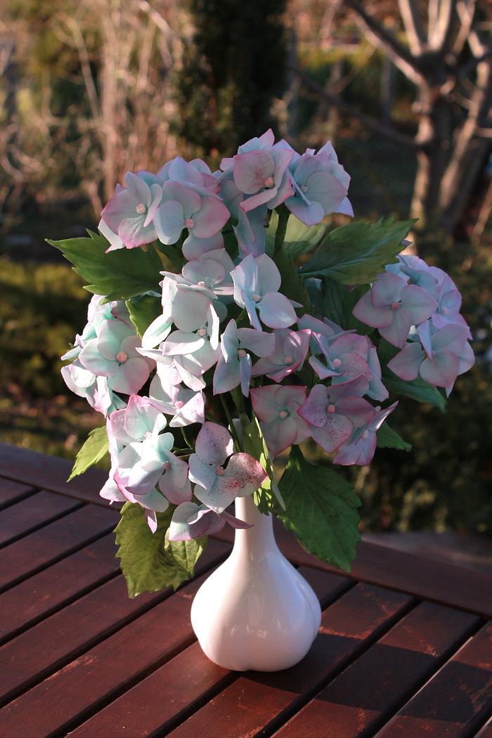 hydrangea)))) students work 