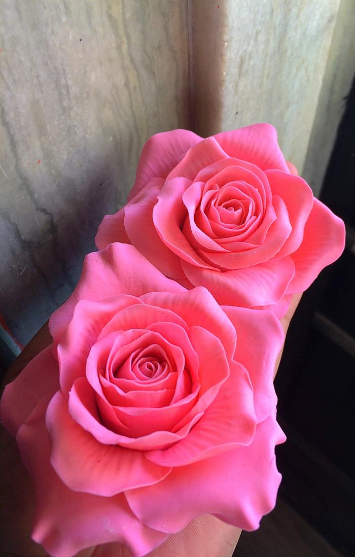 Pink sugar roses 