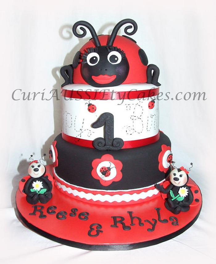 Twins Lady Bug cake