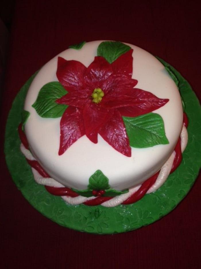 My 1st Cake - Poinsettia 