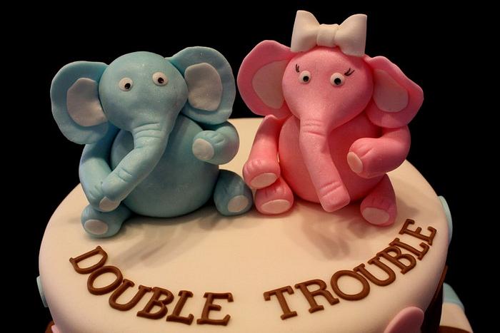 Double Trouble Babyshower cake