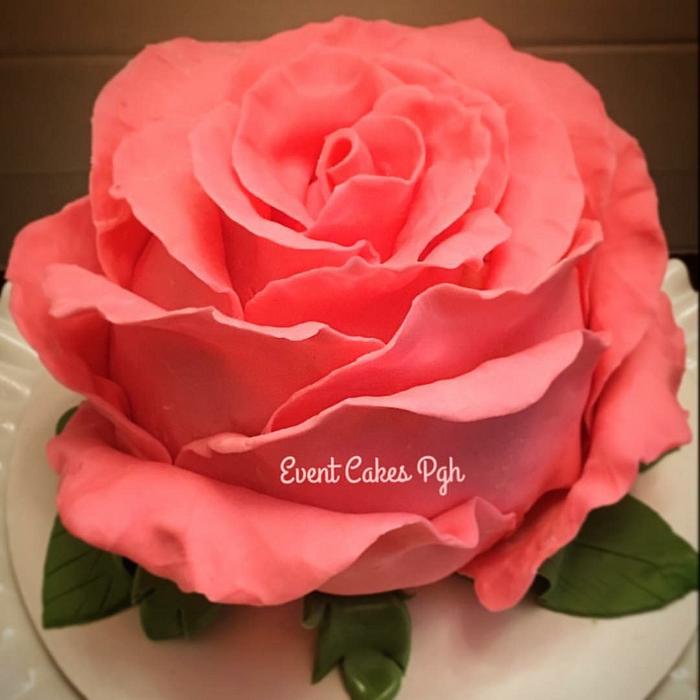 Giant Pink Rose Cake