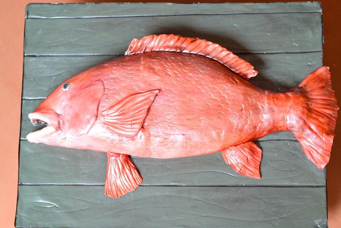 Say hello to a Snapper who looks totally dapper