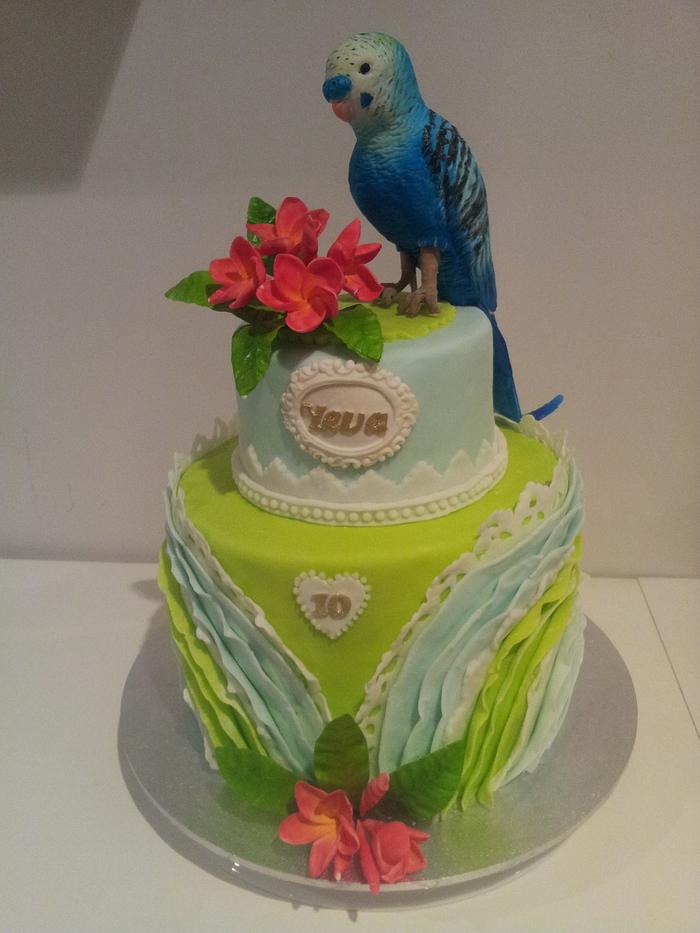 Parrot cake