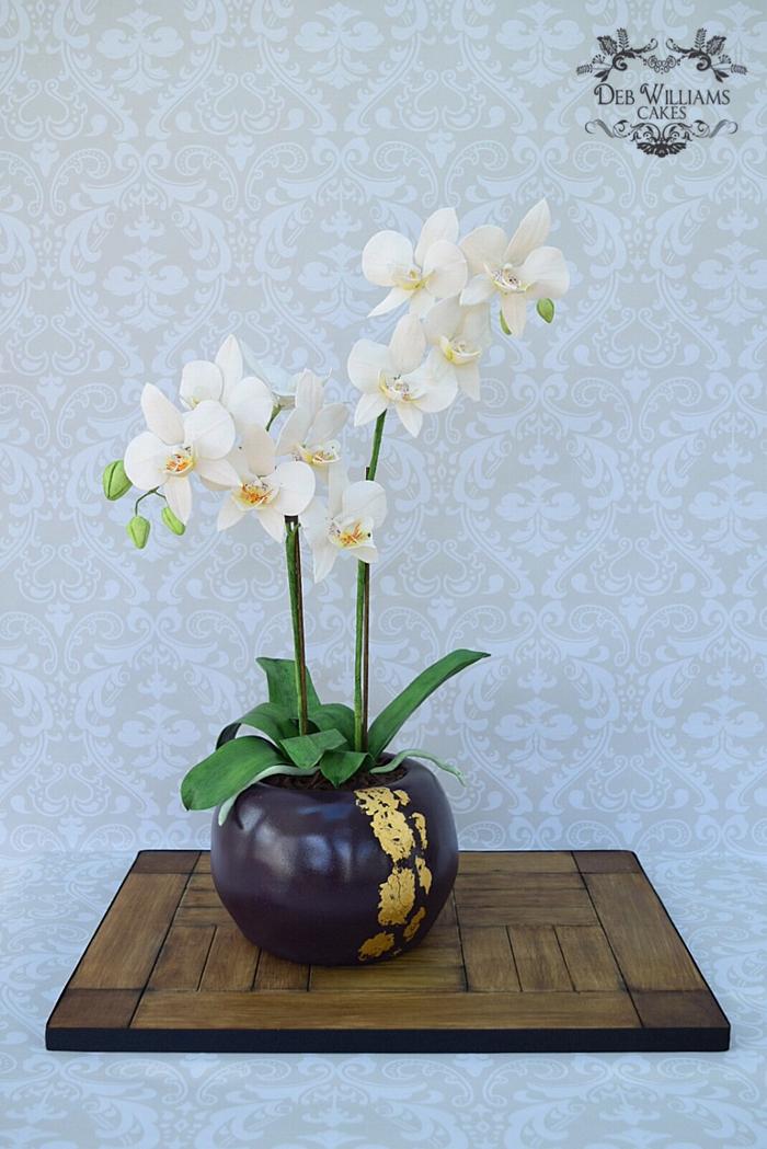 Potted Phalaenopsis orchid cake