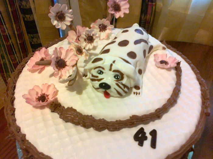 doggy cake