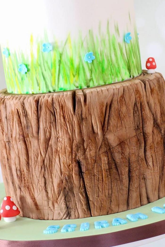 Woodland Themed cake with Bark effect