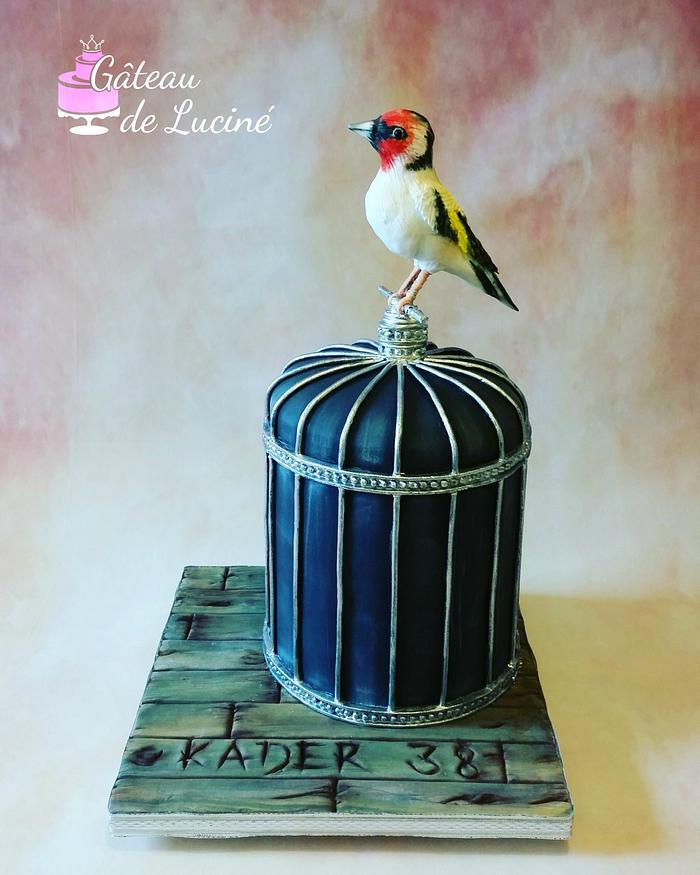 Fondant bird and his cage!