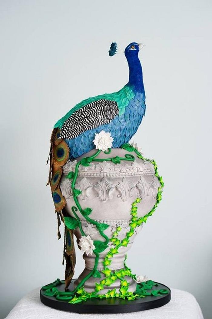 Fred the peacock!