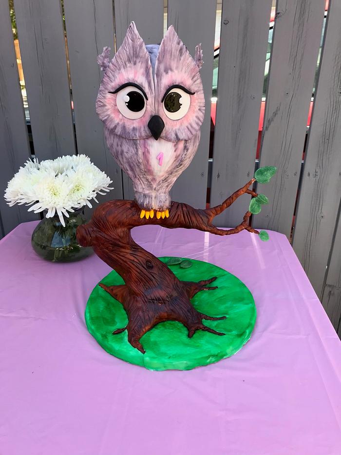 Owl cake for my daughter’s 1st birthday