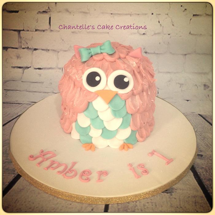 Owl smash cake 