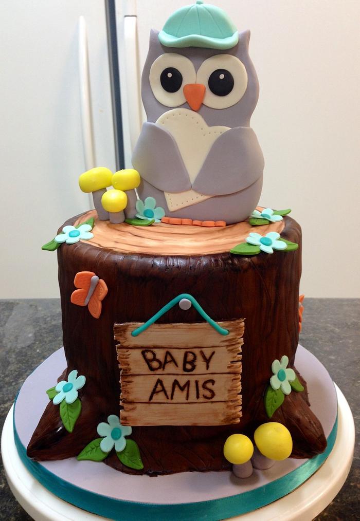 Owl Baby Shower Cake