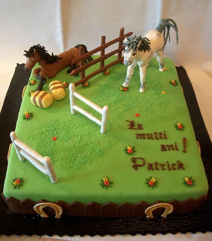 Pastime cakes made by passionate people | Cakes by Robin