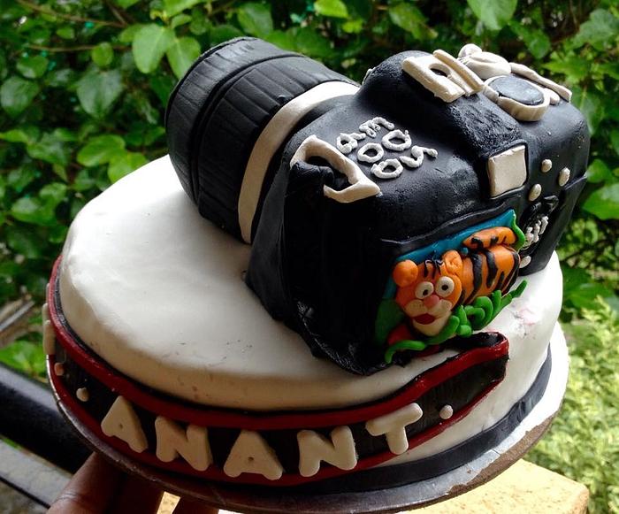 Camera Cake with a stunned tiger 