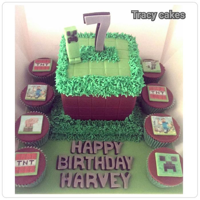 Minecraft birthday cake & matching cupcakes