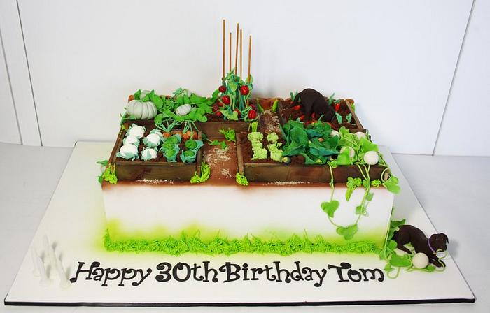 Vegetable Garden Cake