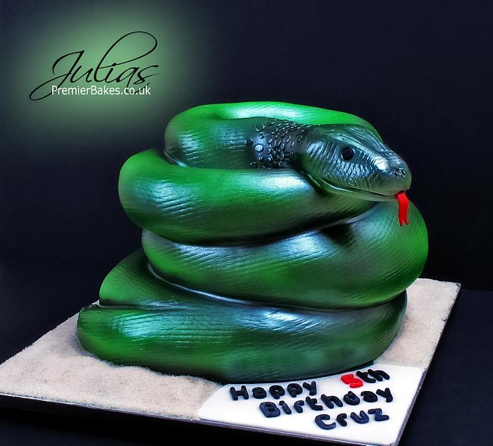 Reptile Snake Cake