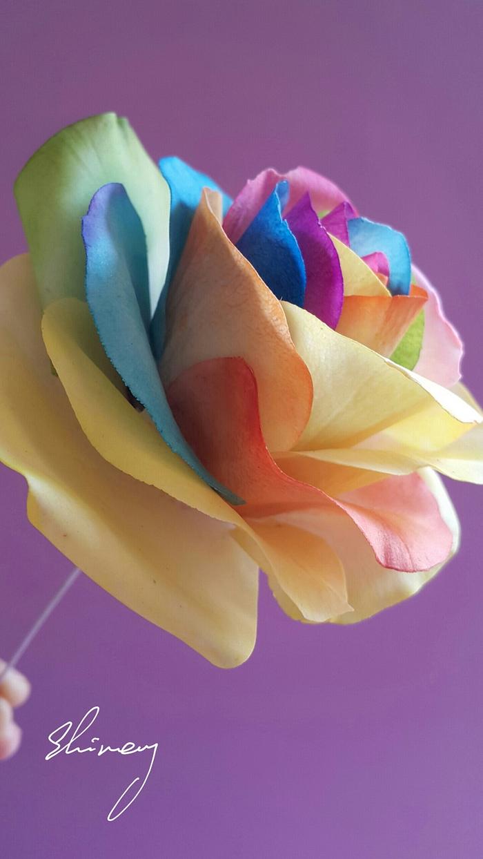 Gumpaste Rainbow Rose 