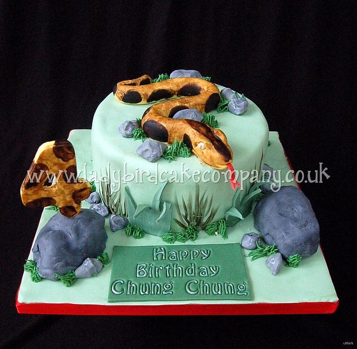 happy birthday snake cake
