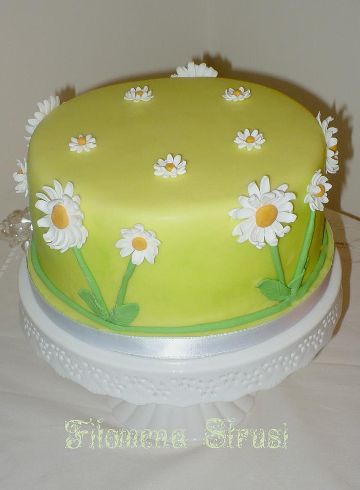 Simple daisy cake