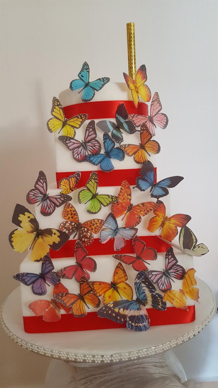 Butterfly cake