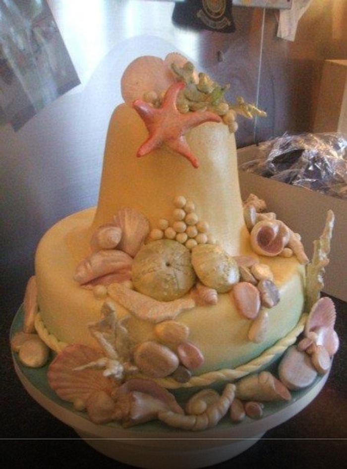 Seashell cake