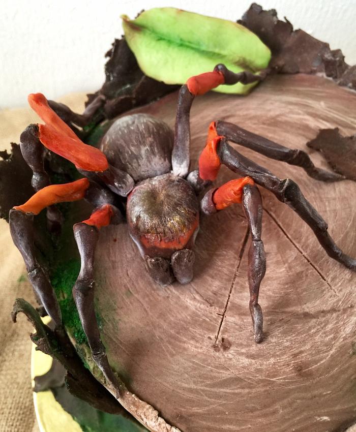  Birthday cake with a spider.