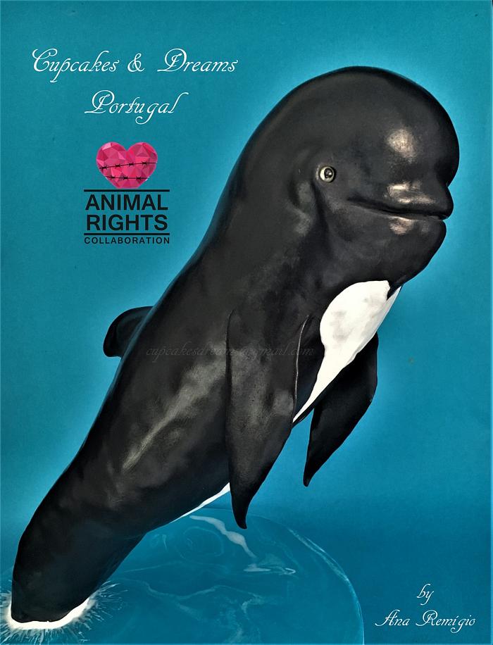 PILOT WALE - ANIMAL RIGHTS COLLABORATION 2016