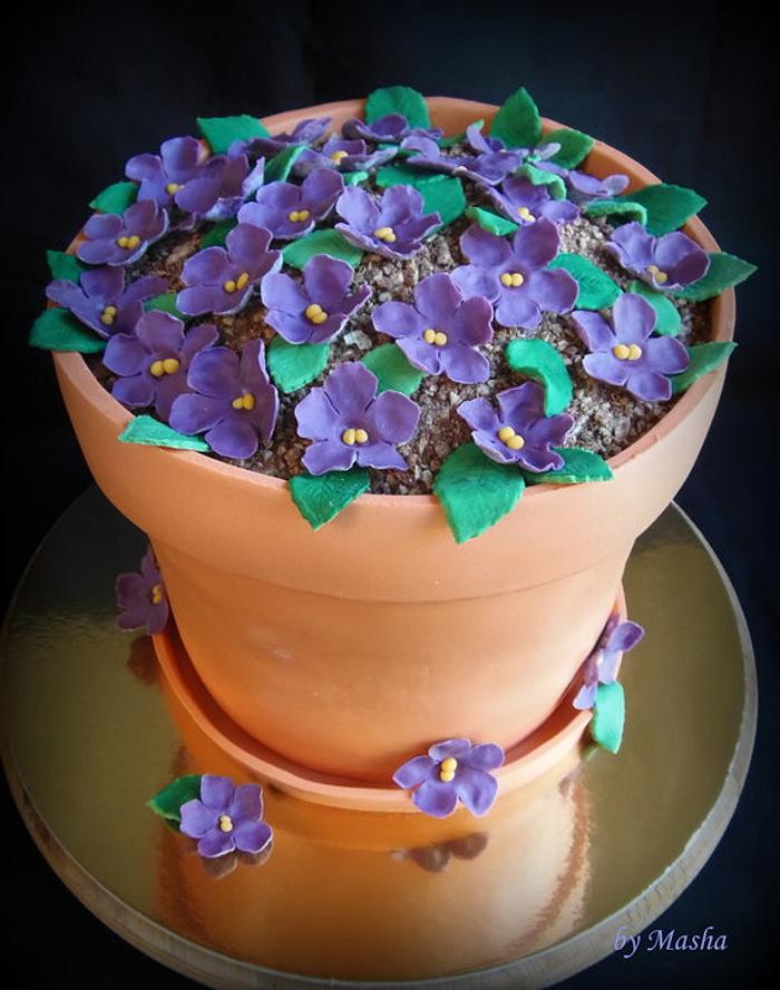 Violet cake