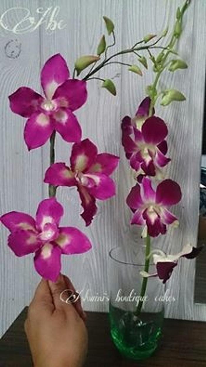 a Lovely Challenge - Orchid Flowers