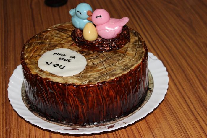 Birdies - baby shower cake
