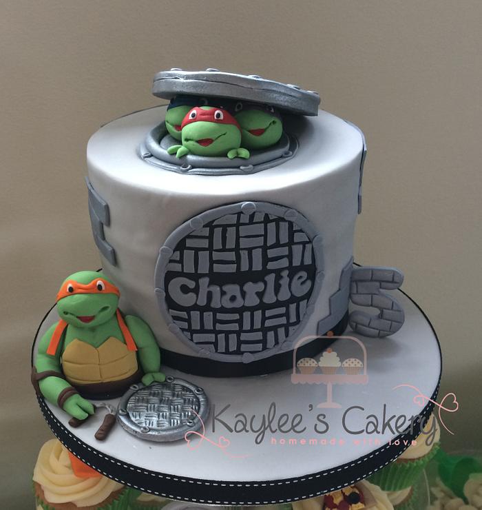 Ninja turtle cake 