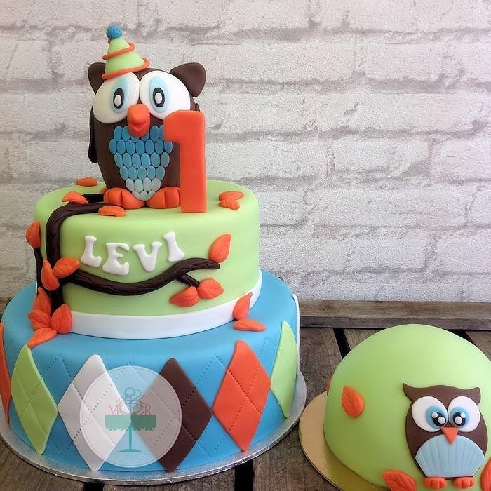 Baby boy Owl cake