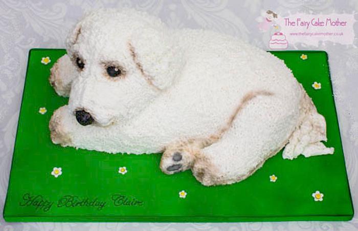 Bichon Frise Dog Cake