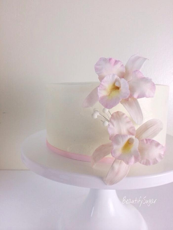 Cattleya sugar orchids 