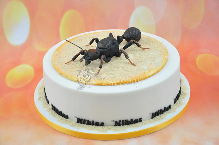 Messor Barbarus Cake for Birthday