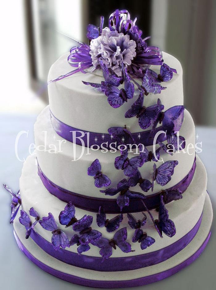 Butterfly wedding Cake