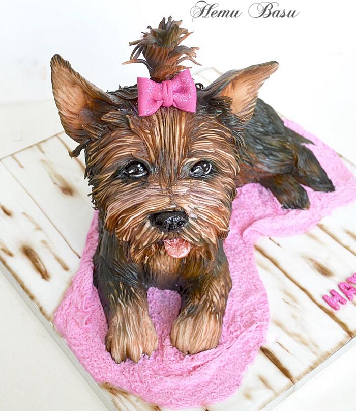 Premium Photo | Cute domestic dog (yorkshire terrier) with a birthday cake,  ready to celebrate a special occasion