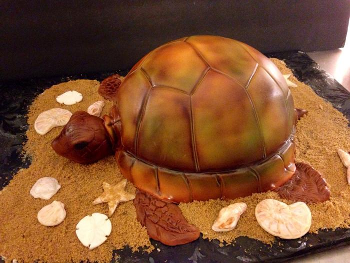 Turtle cake. 