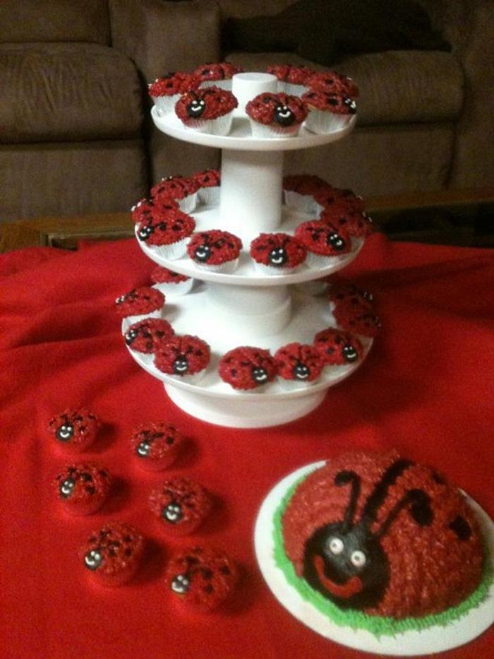 Lady Bug Smash cake and mini cupcakes