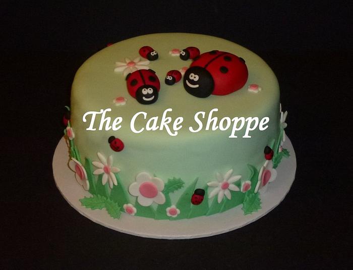Ladybug birthday cake